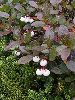 P9210054_l.JPG