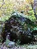 DSC00029_l.JPG