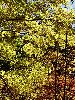 DSC00074_l.JPG