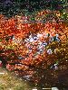 DSC00145_l.JPG