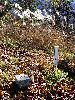 DSC00008_l.JPG