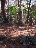 IMG_0012_l.JPG