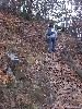 DSCF6344_l.JPG