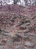DSCF6358_l.JPG