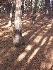 DSCF6361_l.JPG