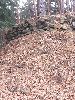 DSCF6395_l.JPG