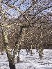 DSCF6438_l.JPG