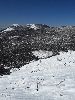 IMG_0125_l.JPG