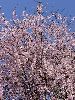 DSC00003_l.JPG