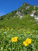 P7170089_l.JPG