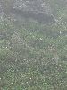 DSC00004_l.JPG