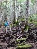 DSC00011_l.JPG