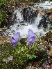 P9120050_l.JPG