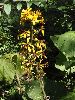 P9230054_l.JPG