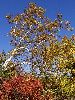 DSC0118_l.JPG