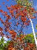 DSC0008_l.JPG