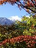 DSC0079_l.JPG