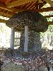 DSC0136_l.JPG