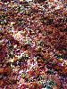 DSC0008_l.JPG