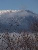 DSCF6978_l.JPG