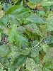 DSCF7022_l.JPG