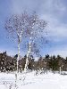DSC0008_l.JPG