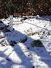 DSC0039_l.JPG