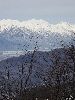 DSC0021_l.JPG