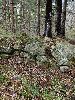 DSC0020_l.JPG