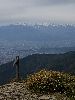 DSC0025_l.JPG
