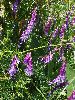 P5221163_l.JPG