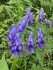 P8062960_l.JPG