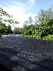 DSC0037_l.JPG