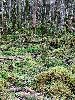 DSC0059_l.JPG