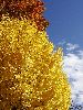 DSC0046_l.JPG