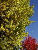 DSC0070_l.JPG