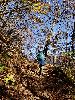 DSC0022_l.JPG
