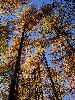 DSC0124_l.JPG