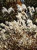 DSC00051_l.JPG