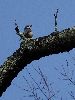 DSC00007_l.JPG