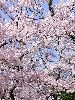 DSC00039_l.JPG