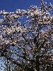DSC00070_l.JPG