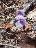 P4235838_l.JPG