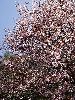DSC00007_l.JPG