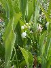 P5276403_l.JPG
