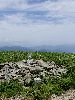 DSC00013_l.JPG