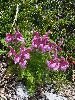 P7077093_l.JPG
