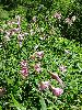DSC00022_l.JPG