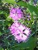 P7177206_l.JPG