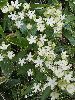 P8218028_l.JPG